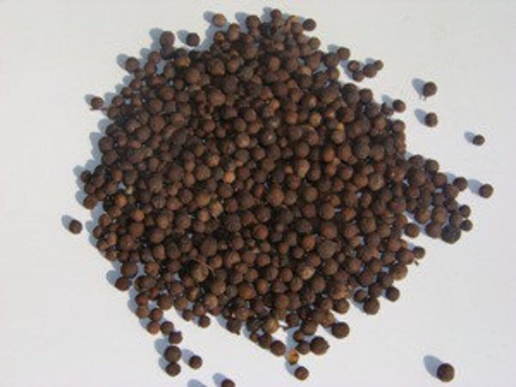 Pimento Seeds All-Spice 4oz; 100% Natural & Organic 16oz