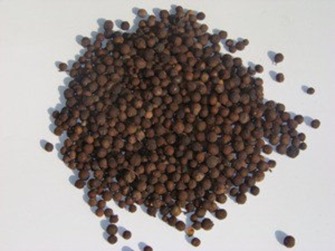 Pimento Seeds All-Spice 4oz; 100% Natural & Organic 16oz