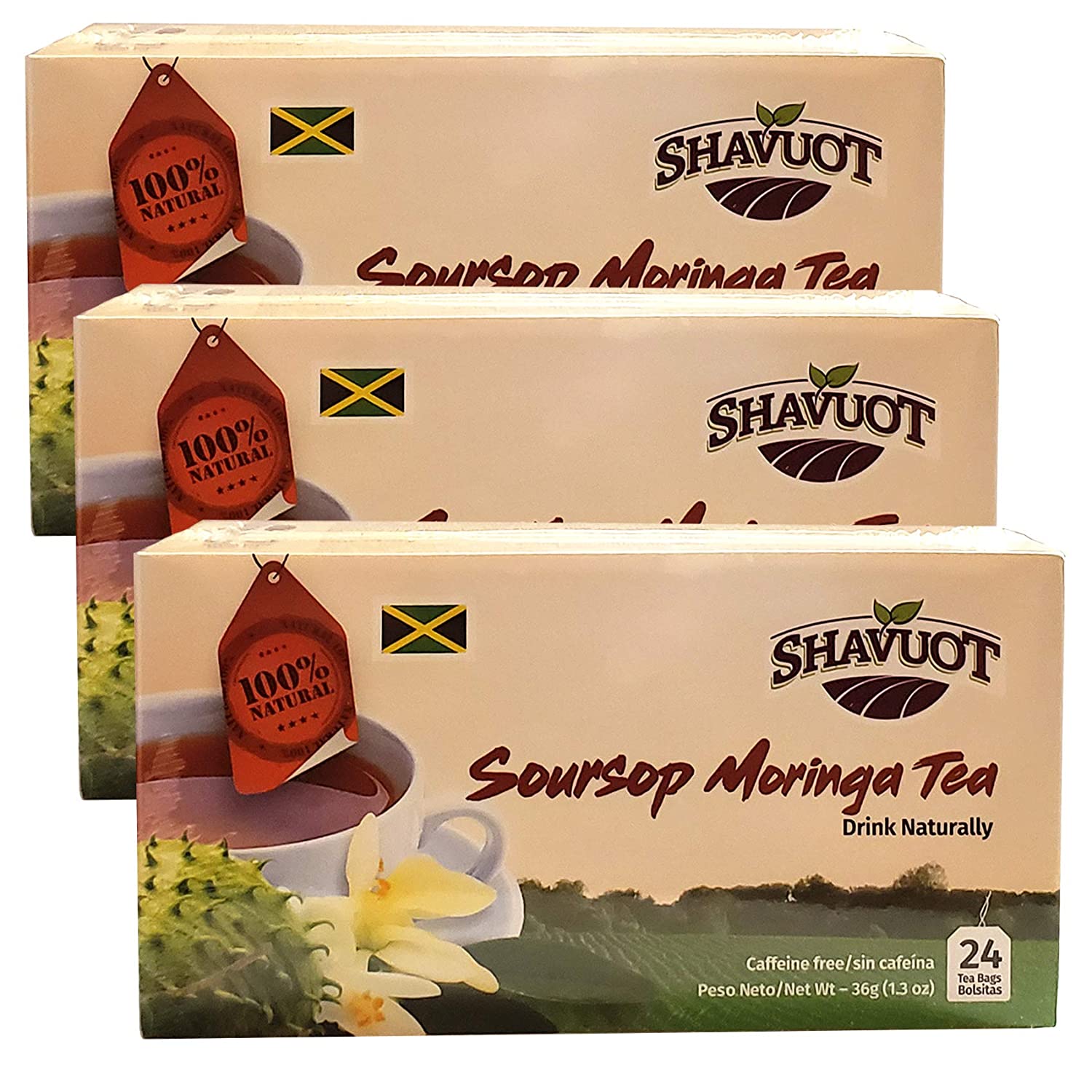 Soursop Moringa Tea (Pack of 3)