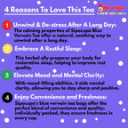 Vervain tea offers a natural way to relax after a long day; renowned for its calming properties, supports stress relief, help to achieve a tranquil state of mind