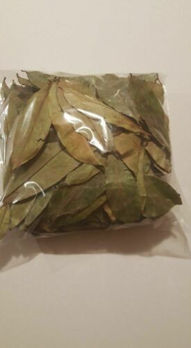 organic soursop leaves guanabana graviola guyabano 100 + leaves dried