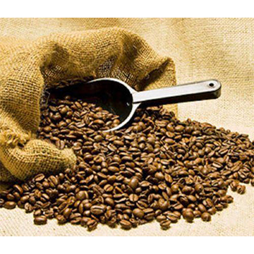 Jamaican Blue Mountain Coffee, Medium Roasted Beans Coffee 16 oz by Ridgelyne