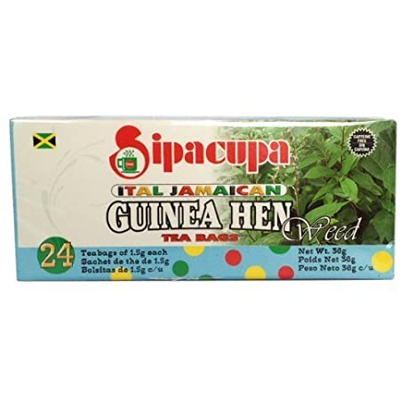 6 Guinea Hen Weed Sipacupa Ital Jamaican Tea